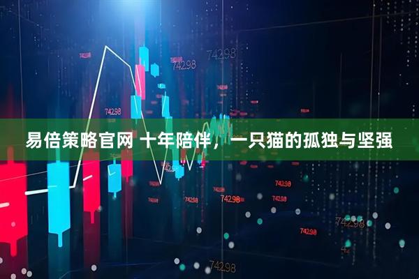 易倍策略官网 十年陪伴，一只猫的孤独与坚强