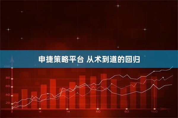 申捷策略平台 从术到道的回归