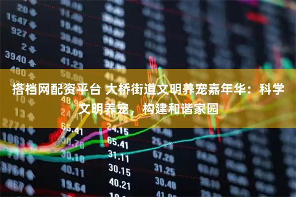 搭档网配资平台 大桥街道文明养宠嘉年华：科学文明养宠，构建和谐家园