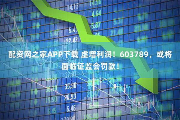 配资网之家APP下载 虚增利润！603789，或将面临证监会罚款！